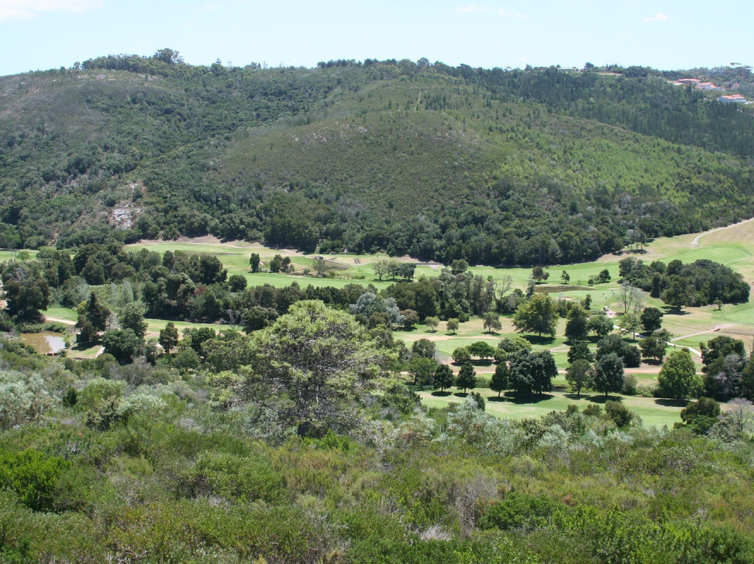 Plettenberg Bay Country Club景点图片