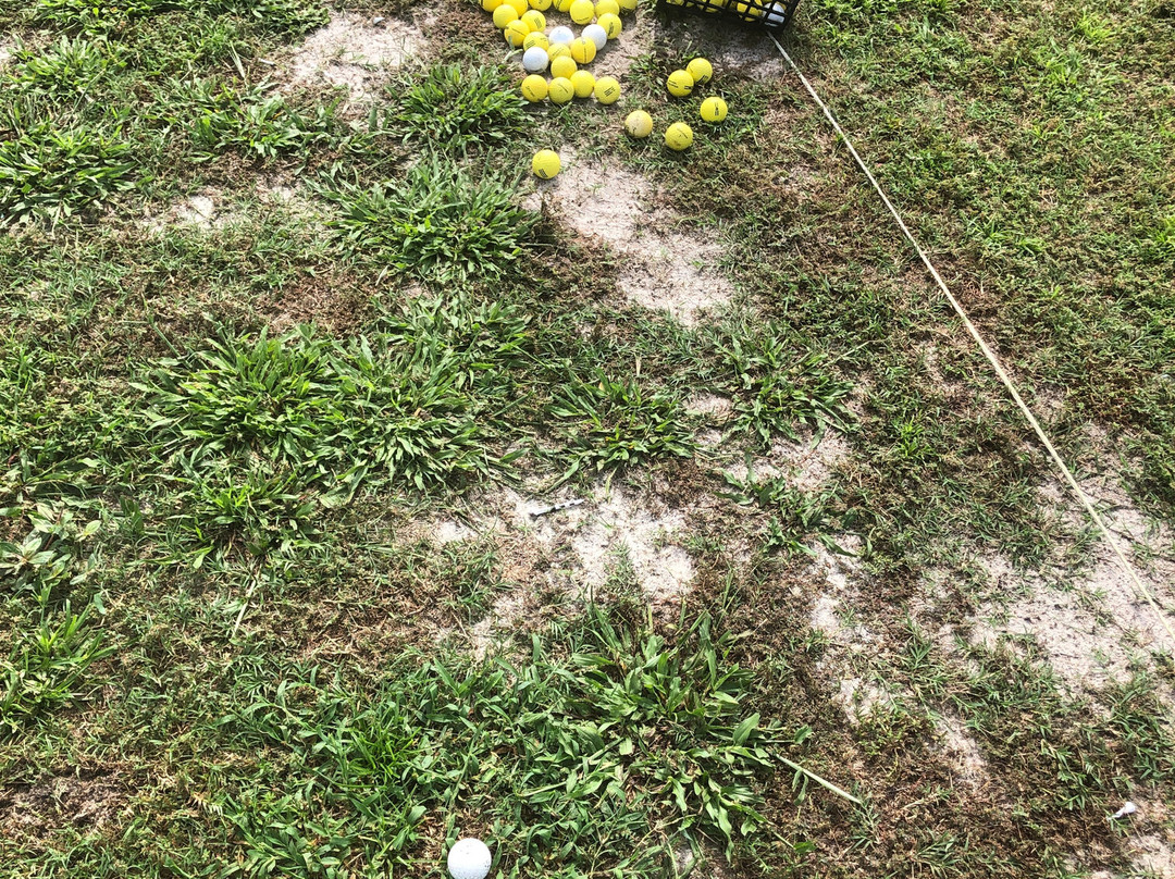 Terrace Hill Golf Club-Temple Terrace必去景点