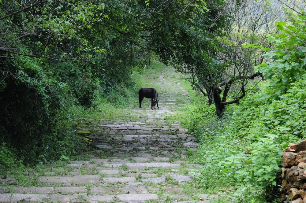 南雄梅关-南雄市必去景点