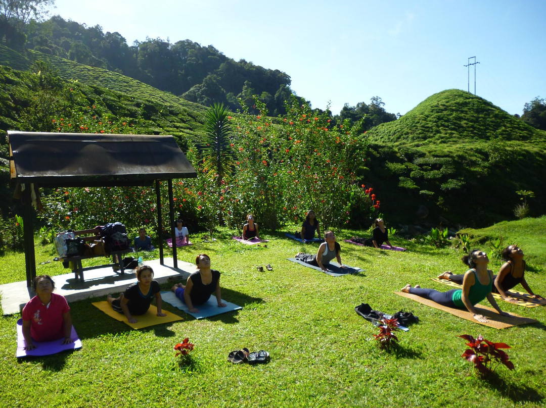 The Yoga Studio-碧兰璋必去景点