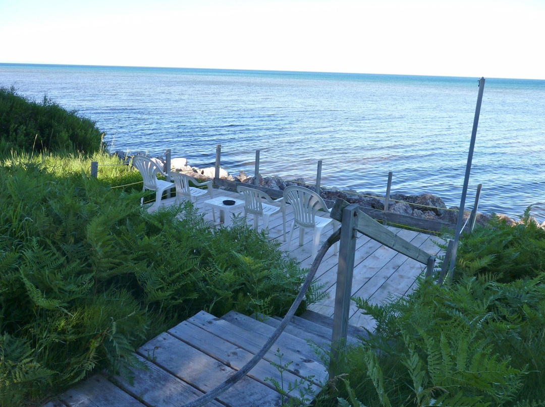 Freighters View on the Bay主图