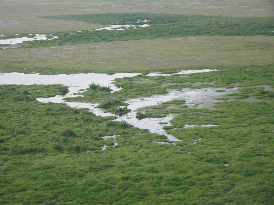 Observation Hill-安博塞利国家公园必去景点
