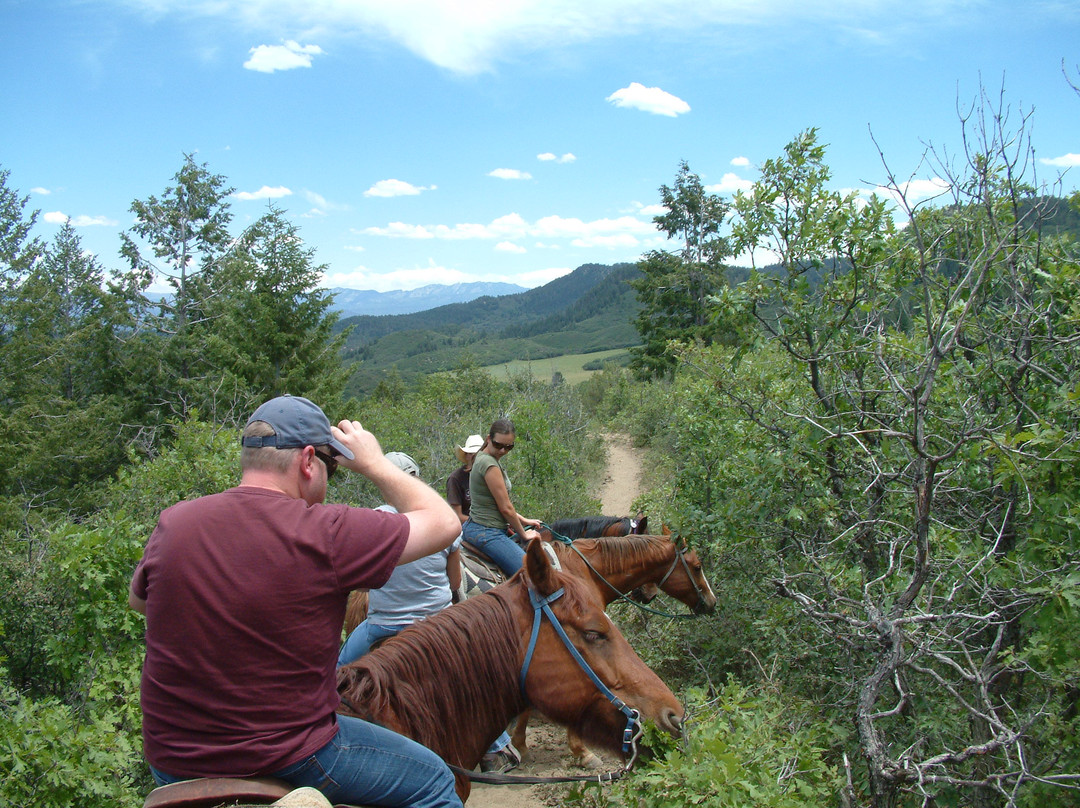 Astraddle A Saddle-帕戈萨斯普林斯必去景点