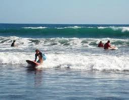Carton the Surf Shop景点图片