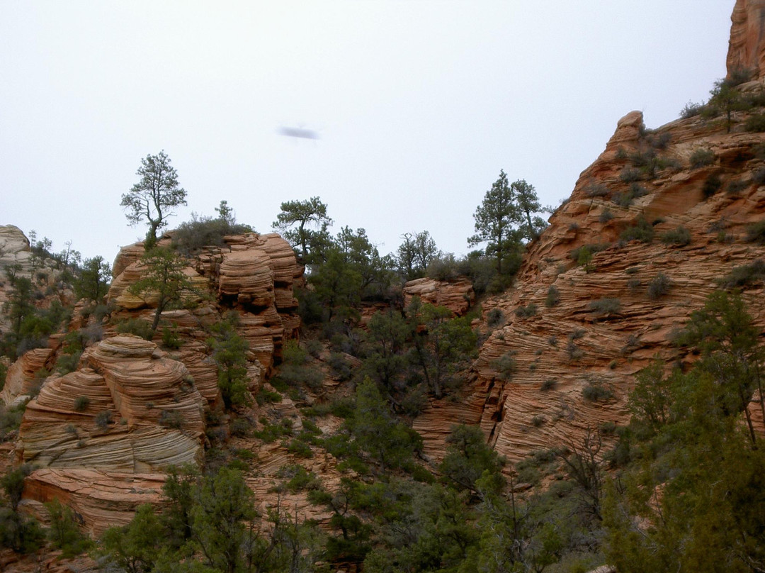 East Rim Trail-锡安国家公园必去景点