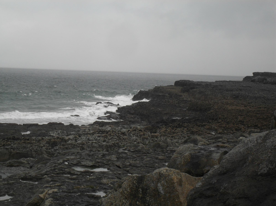 Orchid House Bed & Breakfast主图