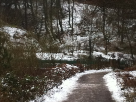Ogden Water Country Park & Nature Reserve景点图片