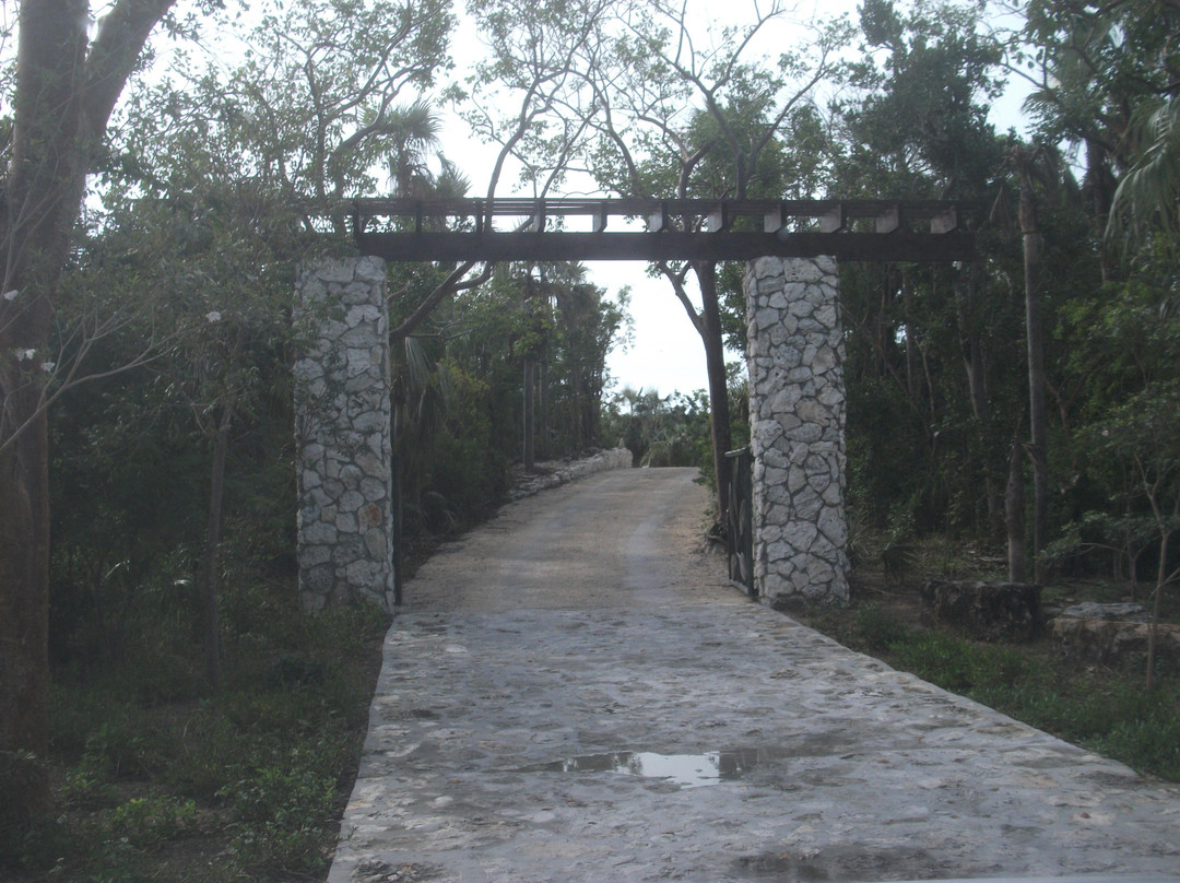 Leon Levy Native Plant Preserve景点图片