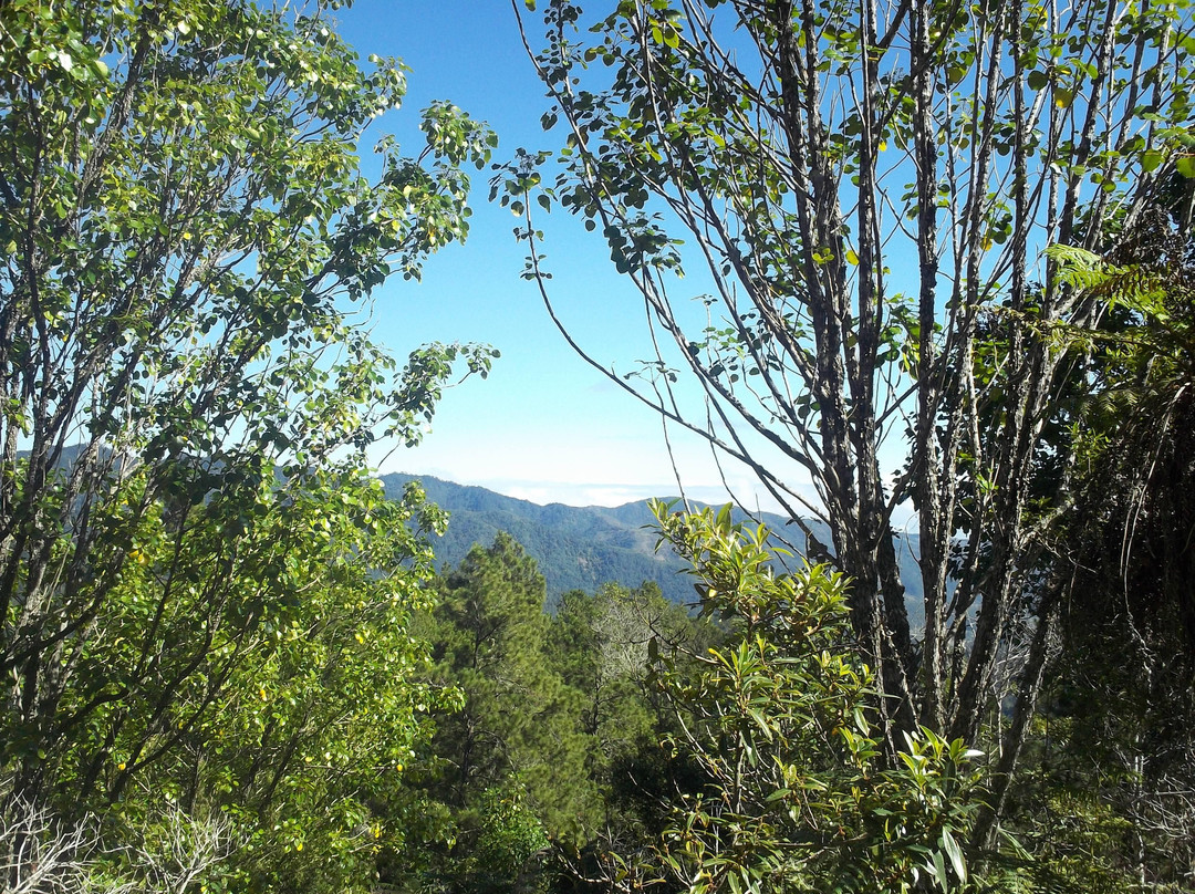 Pico Duarte-Jarabacoa必去景点