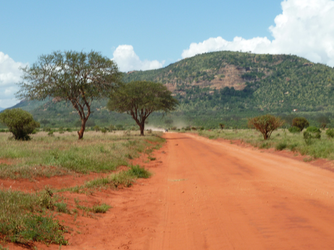 Freezone Safari-马林地必去景点