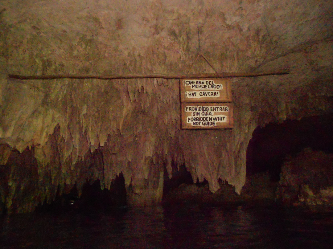 Dos Ojos Scuba Dive Shop-艾库玛尔必去景点