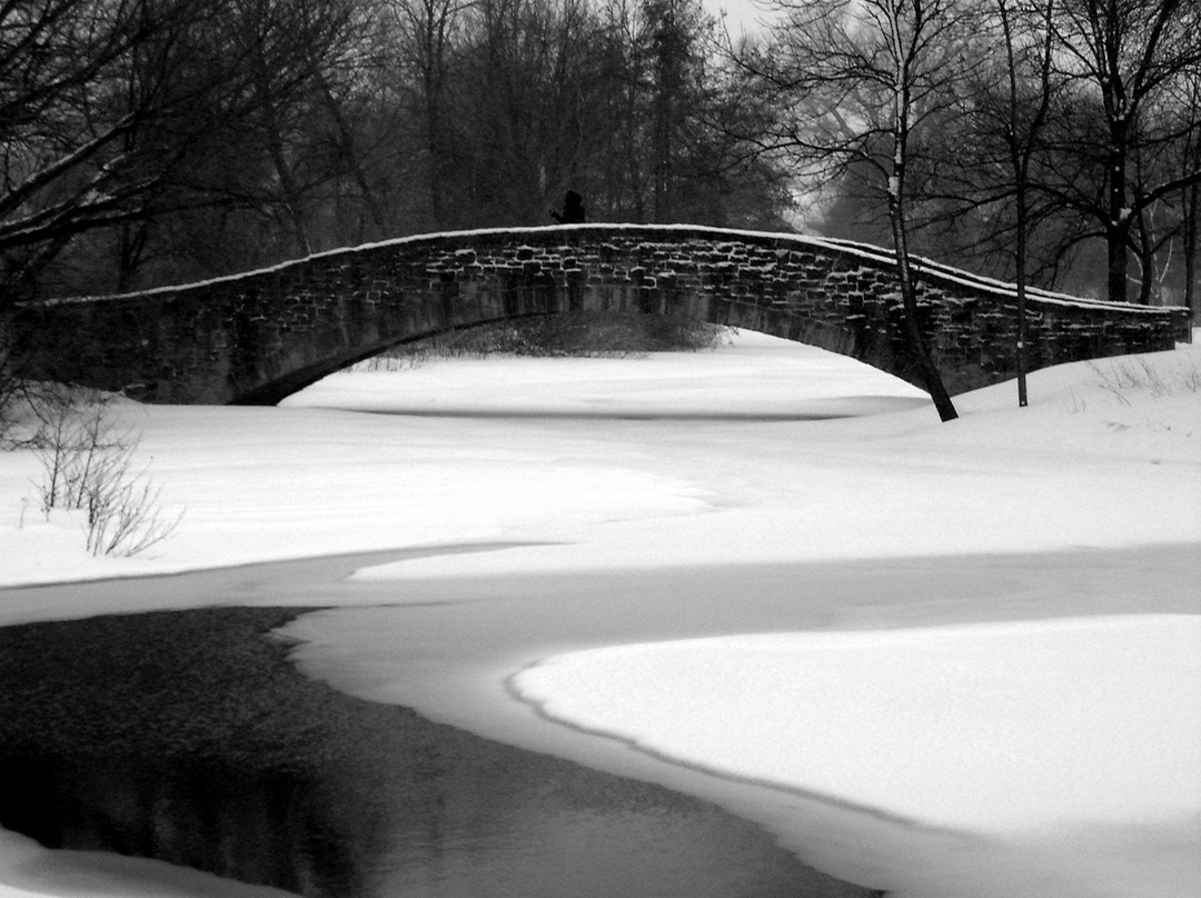 Tenney Park-麦迪逊必去景点