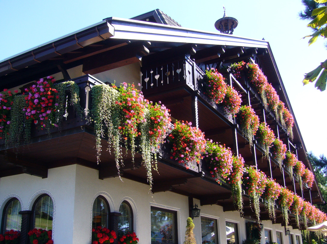 福尔加里亚酒店住宿-Hotel Villa Wilma