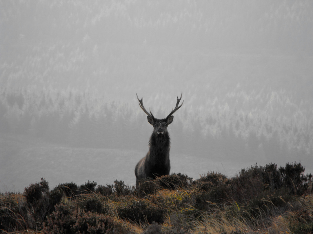 Wicklow Mountains National Park-Glendalough Village必去景点