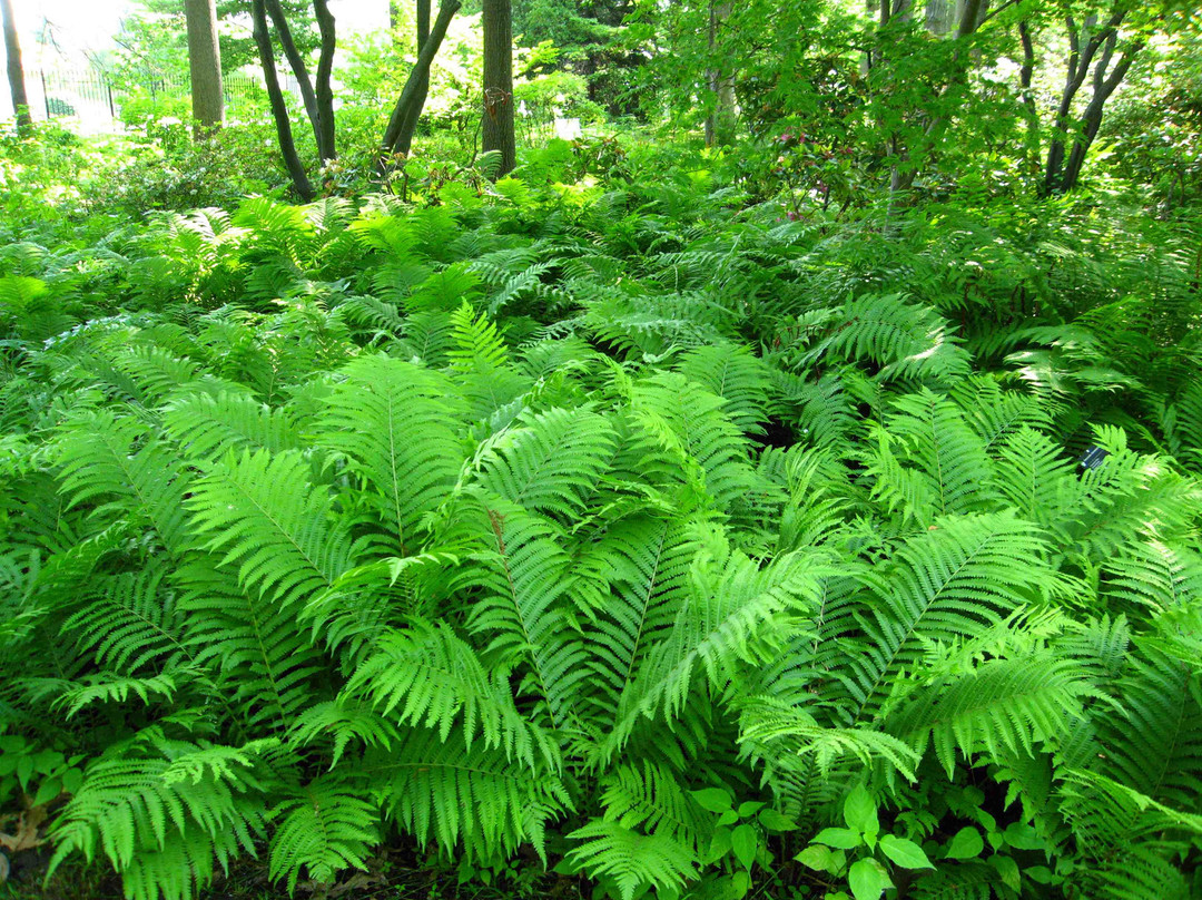 Toledo Botanical Garden-托莱多必去景点