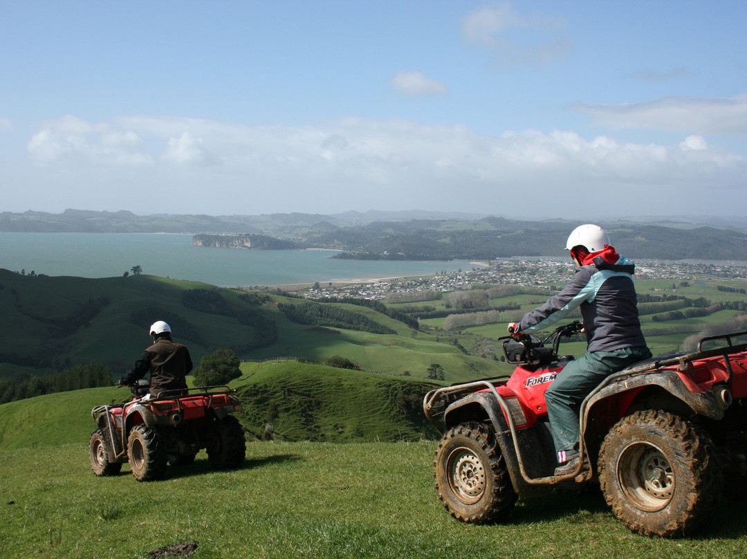 NZ Quadbike Adventures-菲蒂昂格必去景点