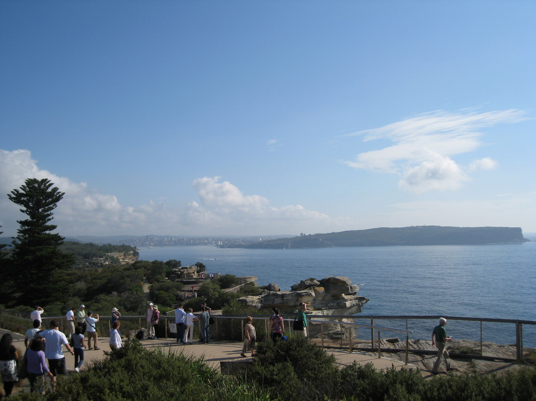 峭壁公园-悉尼必去景点