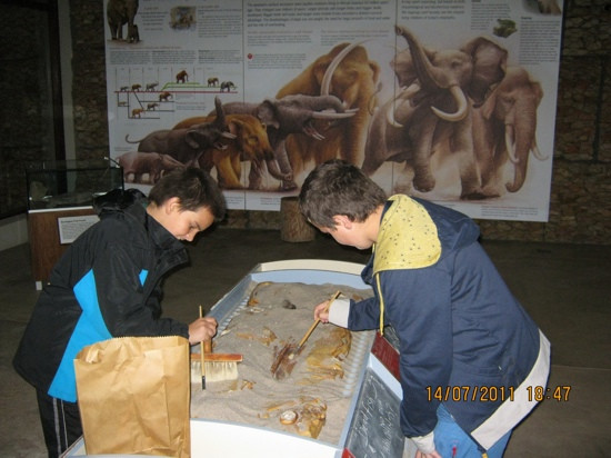 Addo Raptor and Reptile Centre-Addo Elephant National Park必去景点