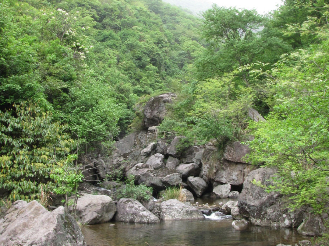 临安东天目山景点图片