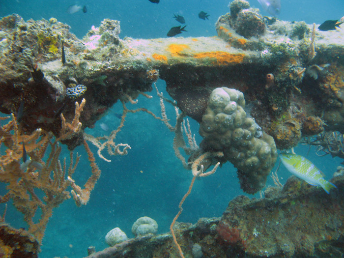 Sunken Japanese Wrecks-科隆必去景点