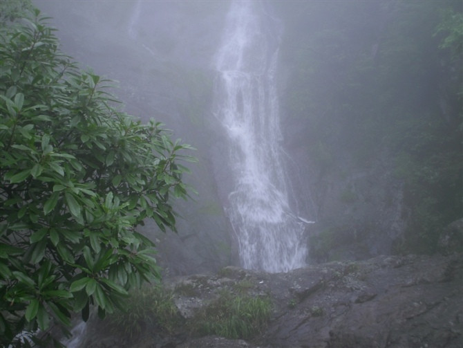 临安东天目山景点图片