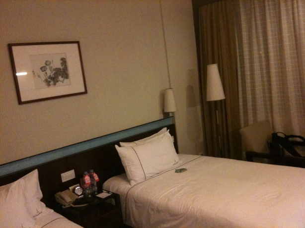 流花宾馆（广州火车站地铁站白马服装城店）-客卧