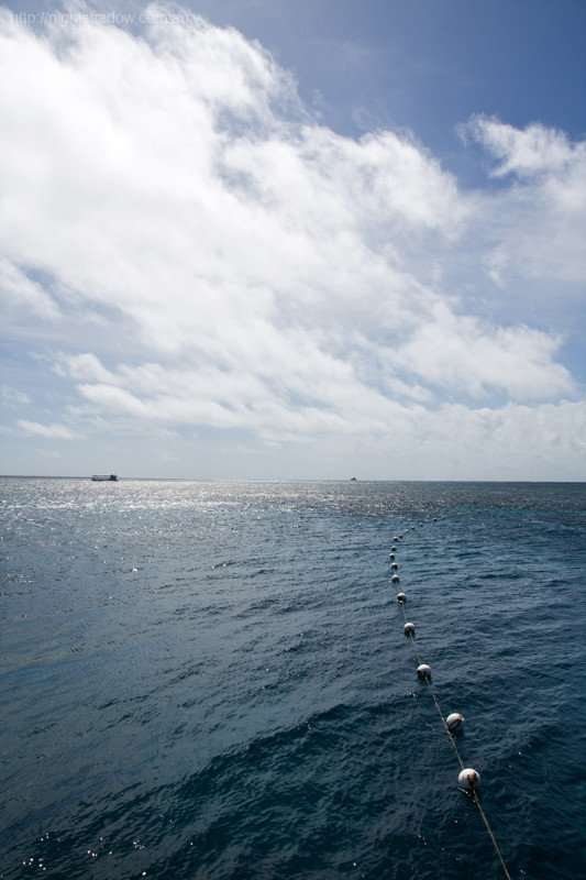 Quicksilver Cruises-道格拉斯港必去景点