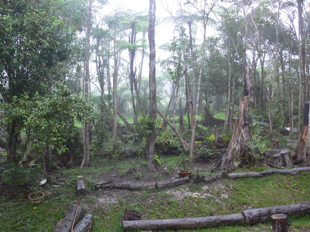 Magic Mountain Country Home主图