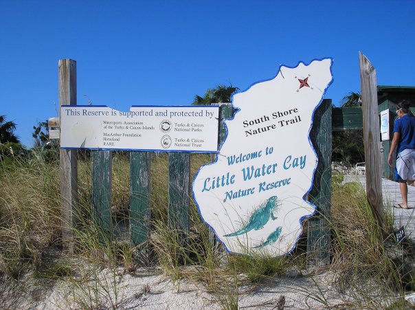 Little Water Cay-普罗维登西亚莱斯必去景点