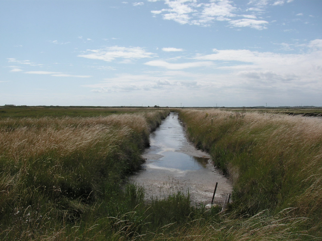 Orford Ness National Nature Reserve-Orford必去景点