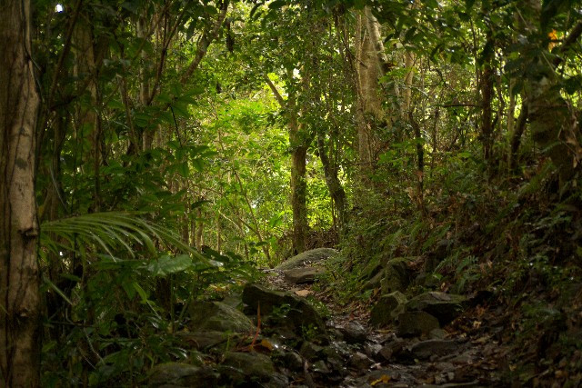 Sage Mountain National Park-托土拉必去景点