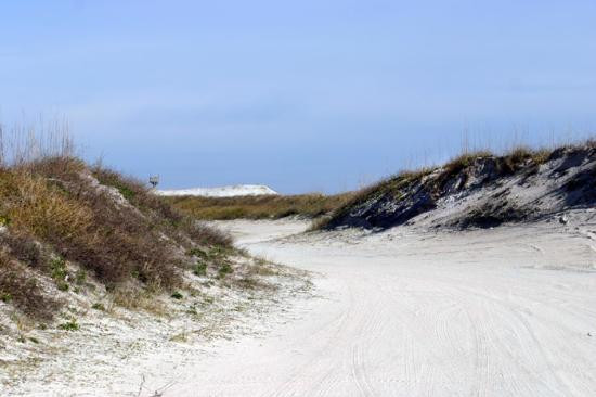 Huguenot Memorial Park-杰克逊维尔必去景点