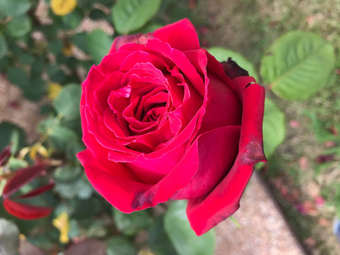 Gormandale War Memorial