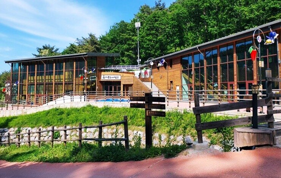 Heungrimsan Natural Forest