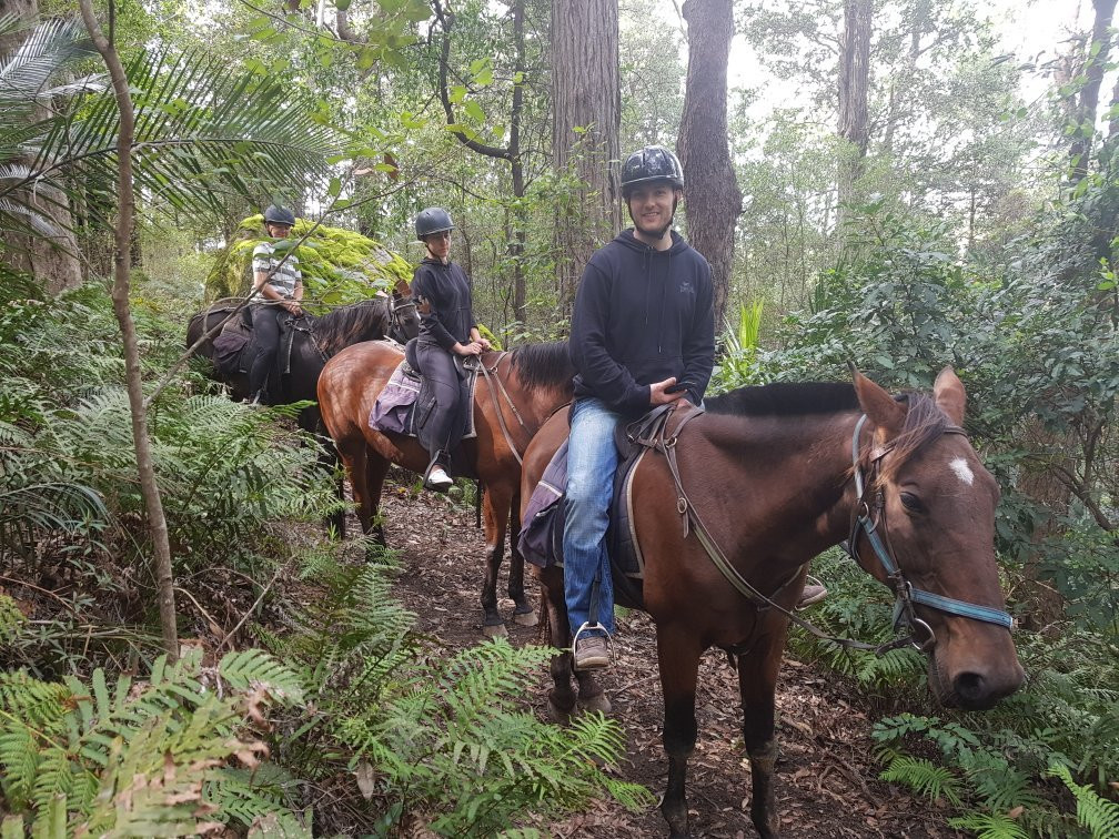 Man from Kangaroo Valley Trail Ride-袋鼠谷必去景点