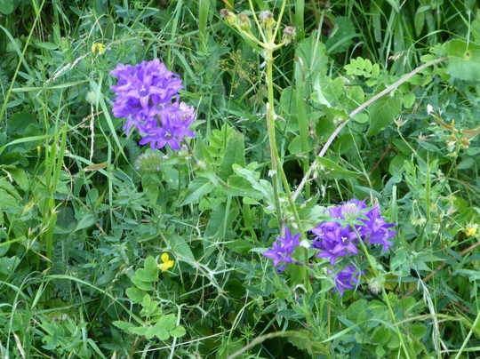 Katouna Habitat-Argithea必去景点