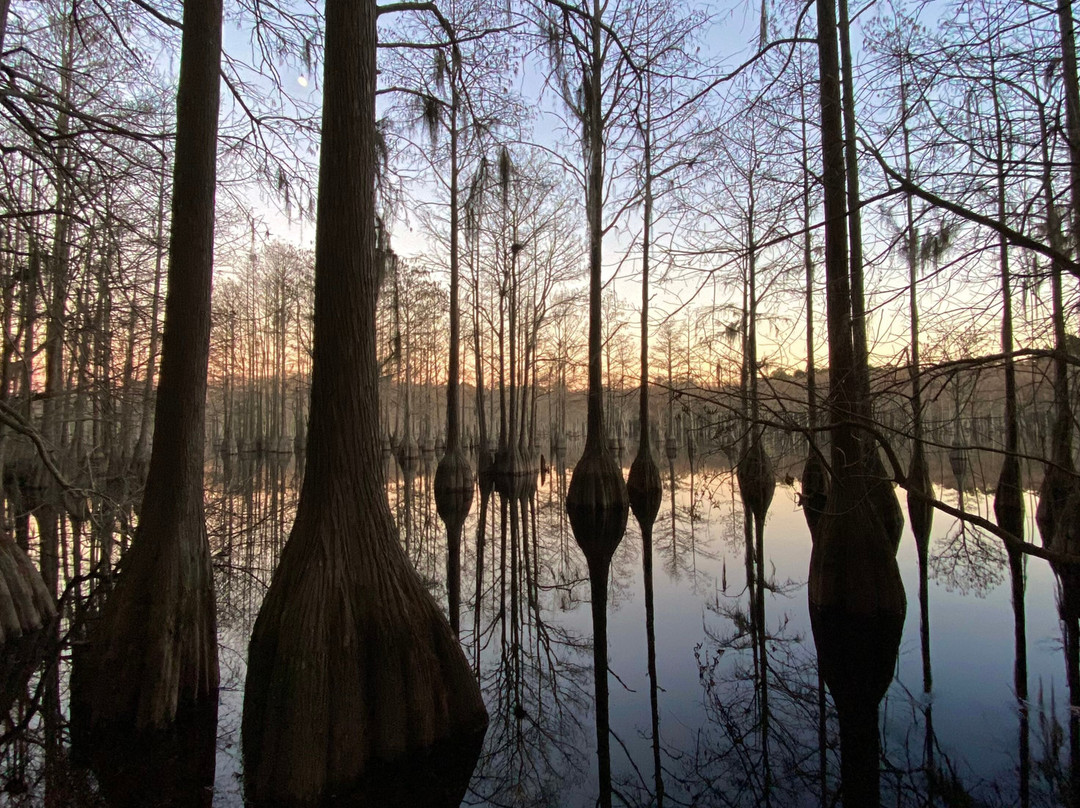 George L. Smith Park-Twin City必去景点