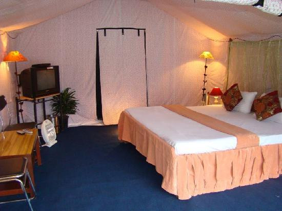 Camp Exotica