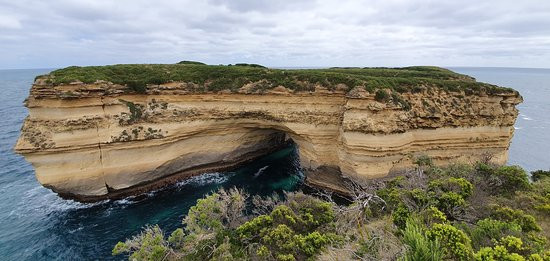 Mutton Bird Lookout-坎贝尔港必去景点