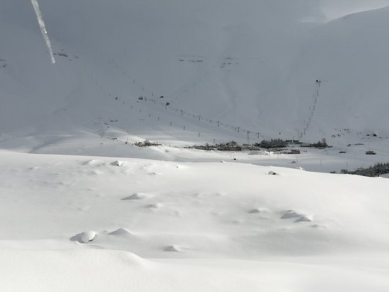 White Cedar Hotel主图