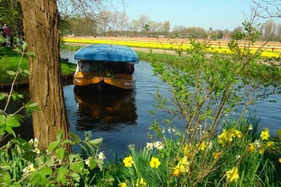 Visit Lisse Tourist Info & Shop-利塞必去景点