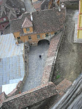 钟楼景点图片