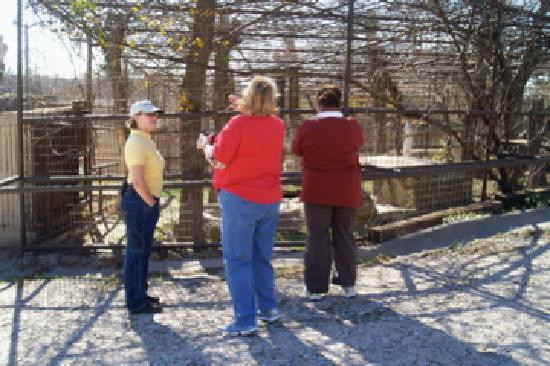 The Wild Animal Sanctuary - Texas-Boyd必去景点