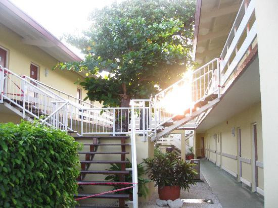 Manchebo Beach-棕榈/鹰海滩必去景点