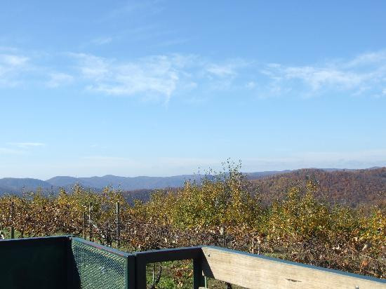 Sky Top Orchard-Flat Rock必去景点