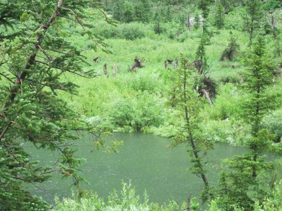 Cascade Canyon-大提顿国家公园必去景点