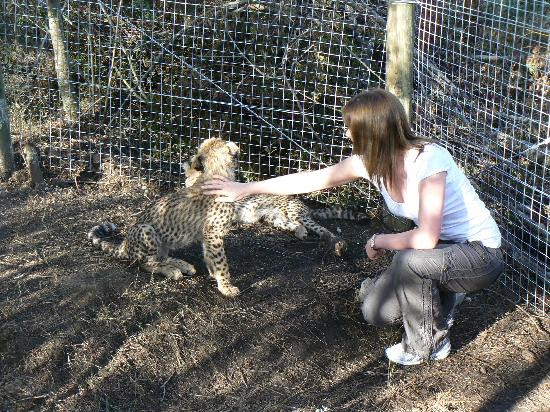 Tenikwa Wildlife Awareness Centre-The Crags必去景点