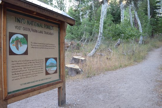 Fern Lake Trail-六月湖必去景点