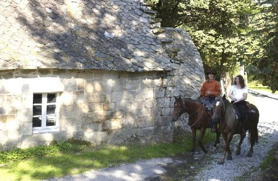 La Ferme équestre de Tréphy景点图片