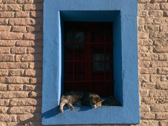 Caminito-布宜诺斯艾利斯必去景点